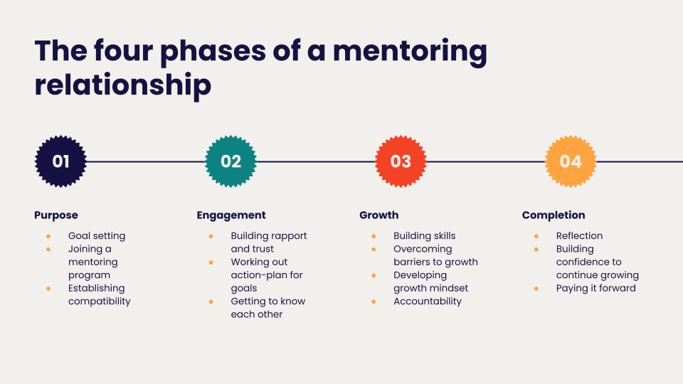 4 Phases Of Mentorship Vital Tips For Relationships And Programs 